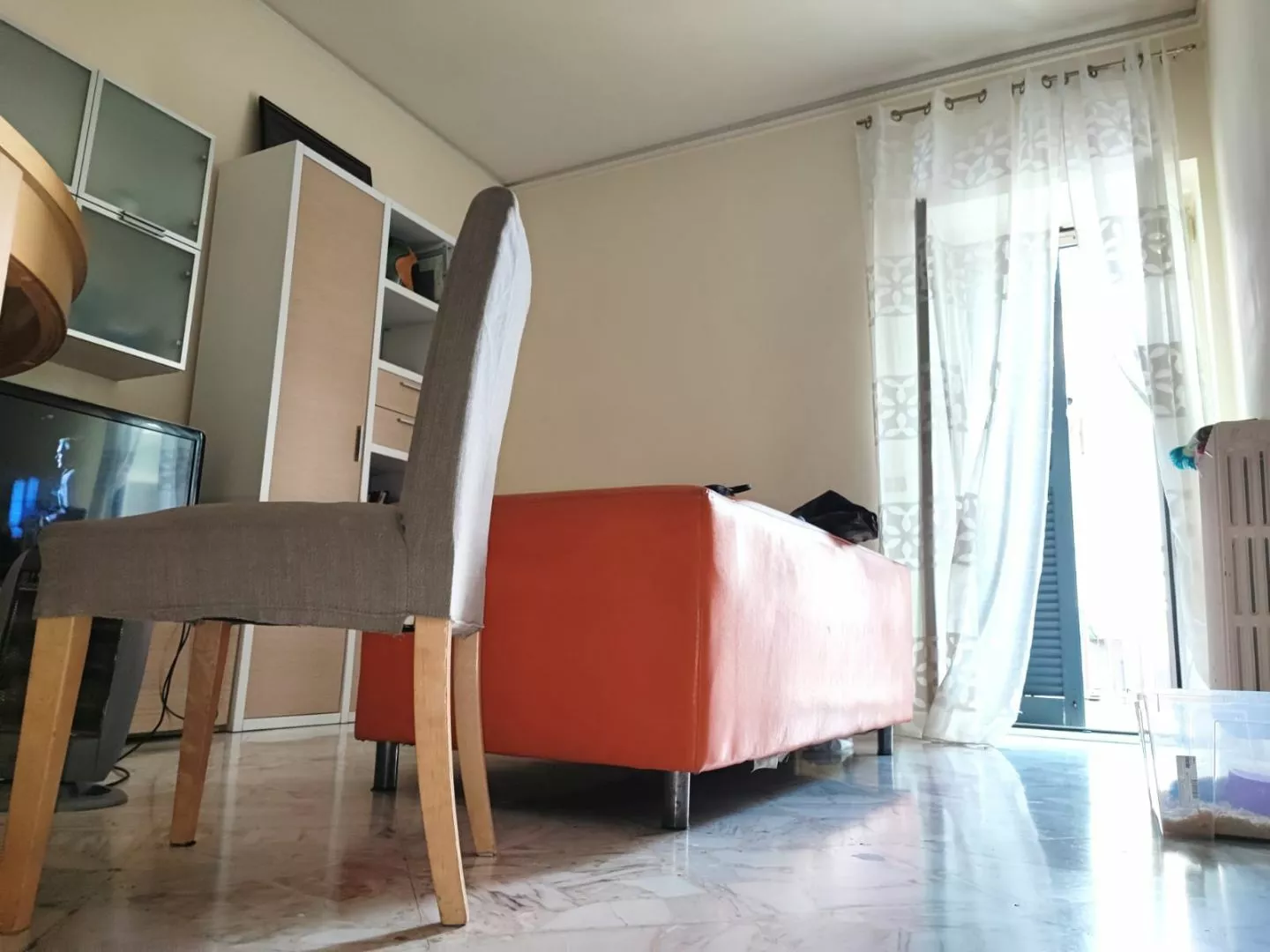 Immagine per Appartamento in Vendita a Bitonto Via Dottor Domenico Damascelli
