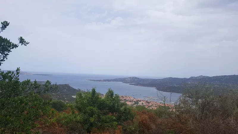Immagine per Terreno commerciale in vendita a Arzachena