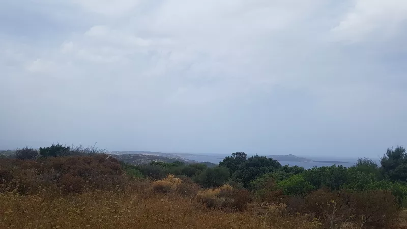 Immagine per Terreno commerciale in vendita a Arzachena