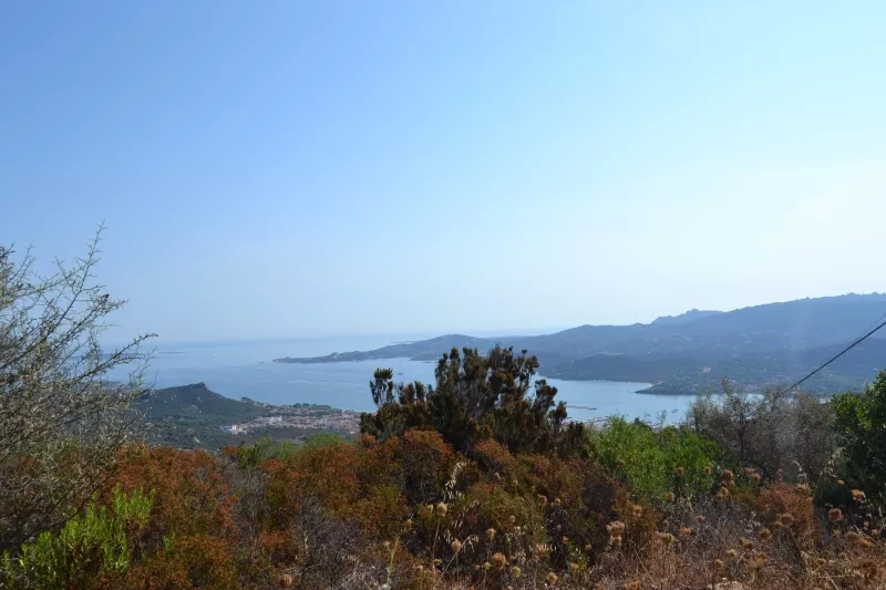 Immagine per Terreno commerciale in vendita a Arzachena
