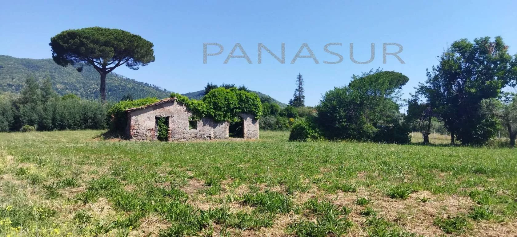 Immagine per Rustico in Vendita a Velletri Via Ariana