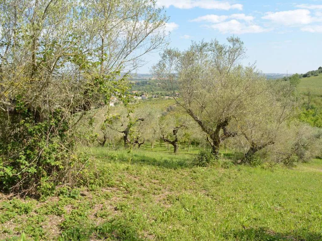 Immagine per Terreno Edificabile in Vendita a Moscufo via Chieti