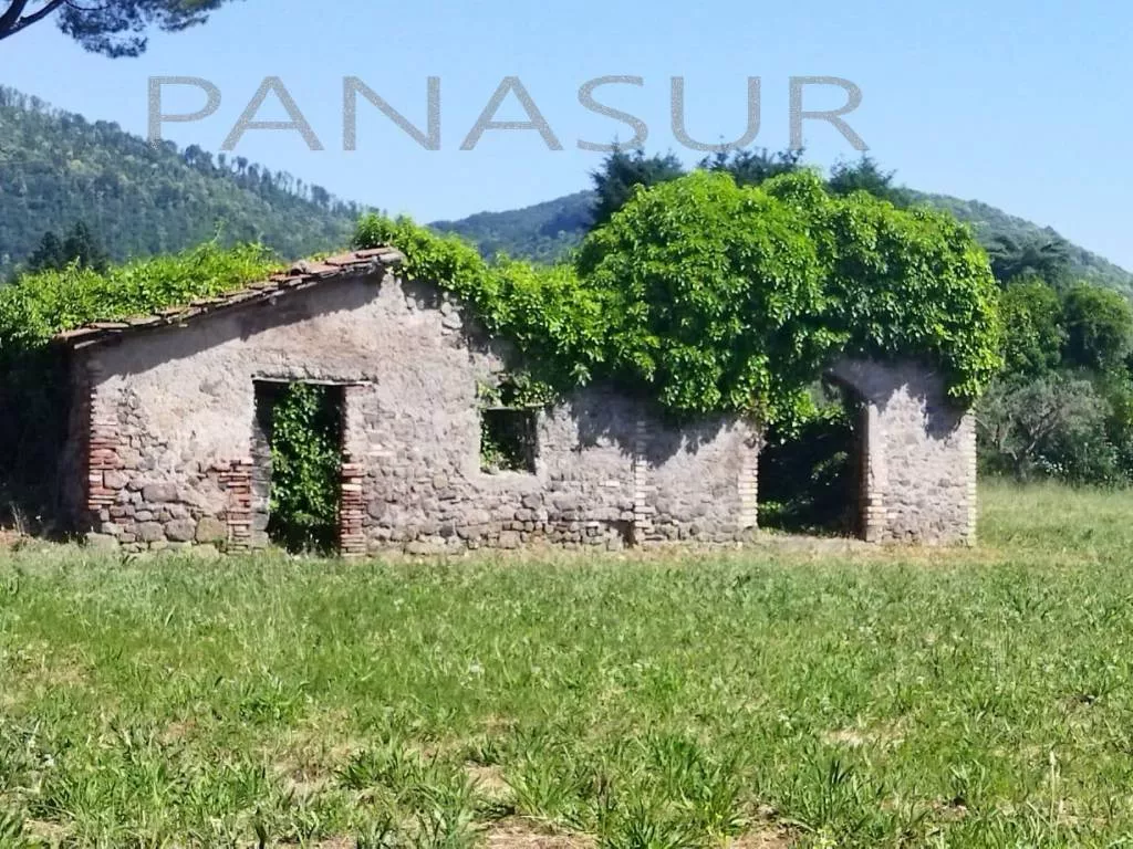 Immagine per Rustico in Vendita a Velletri Via Ariana