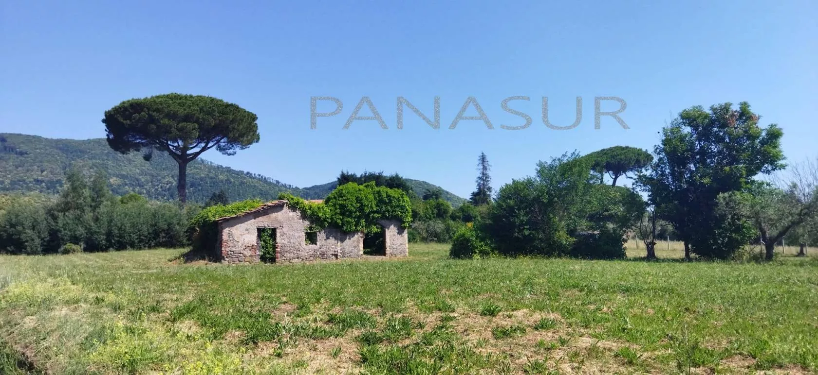 Immagine per Rustico in Vendita a Velletri Via Ariana