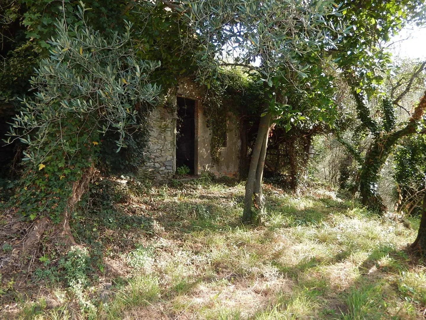 Immagine per Rustico in vendita a Cogorno via Cò De Villa 12