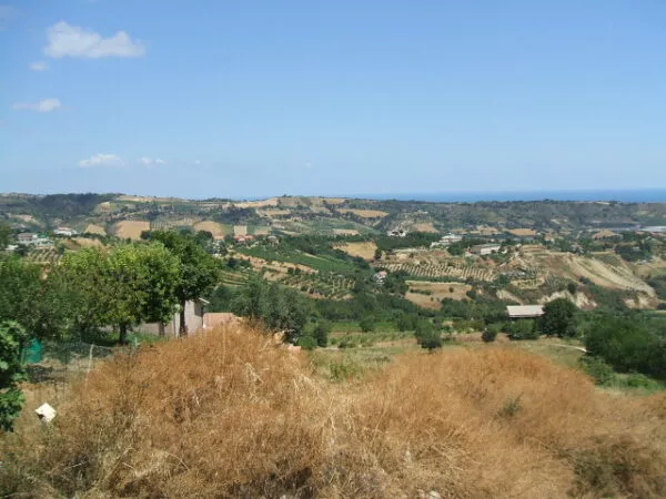 Villa Abbadetta, Acquaviva Picena