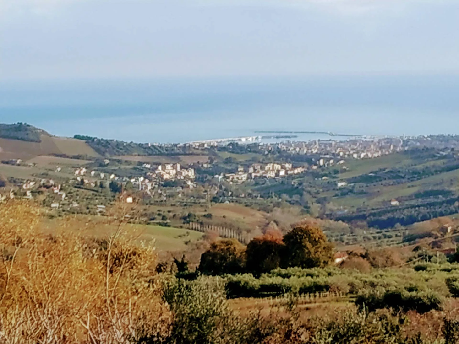 Immagine per Villa in vendita a Acquaviva Picena