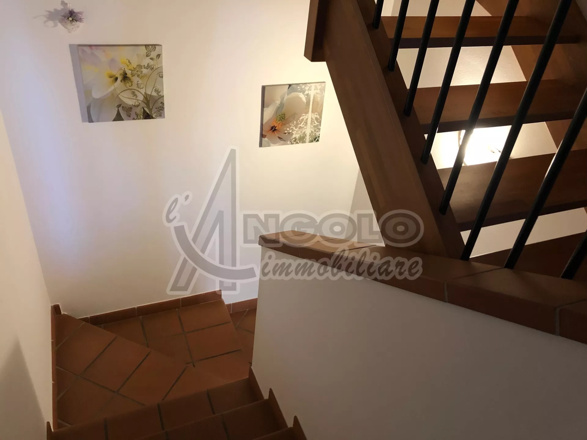 Immagine per Villa a schiera in vendita a Fiesso Umbertiano via Occhiobello 654