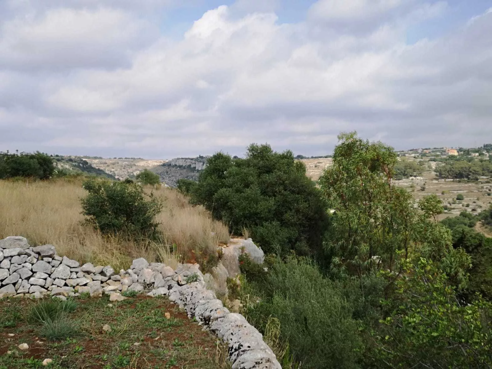 Immagine per Terreno agricolo in vendita a Scicli strada Provinciale 42