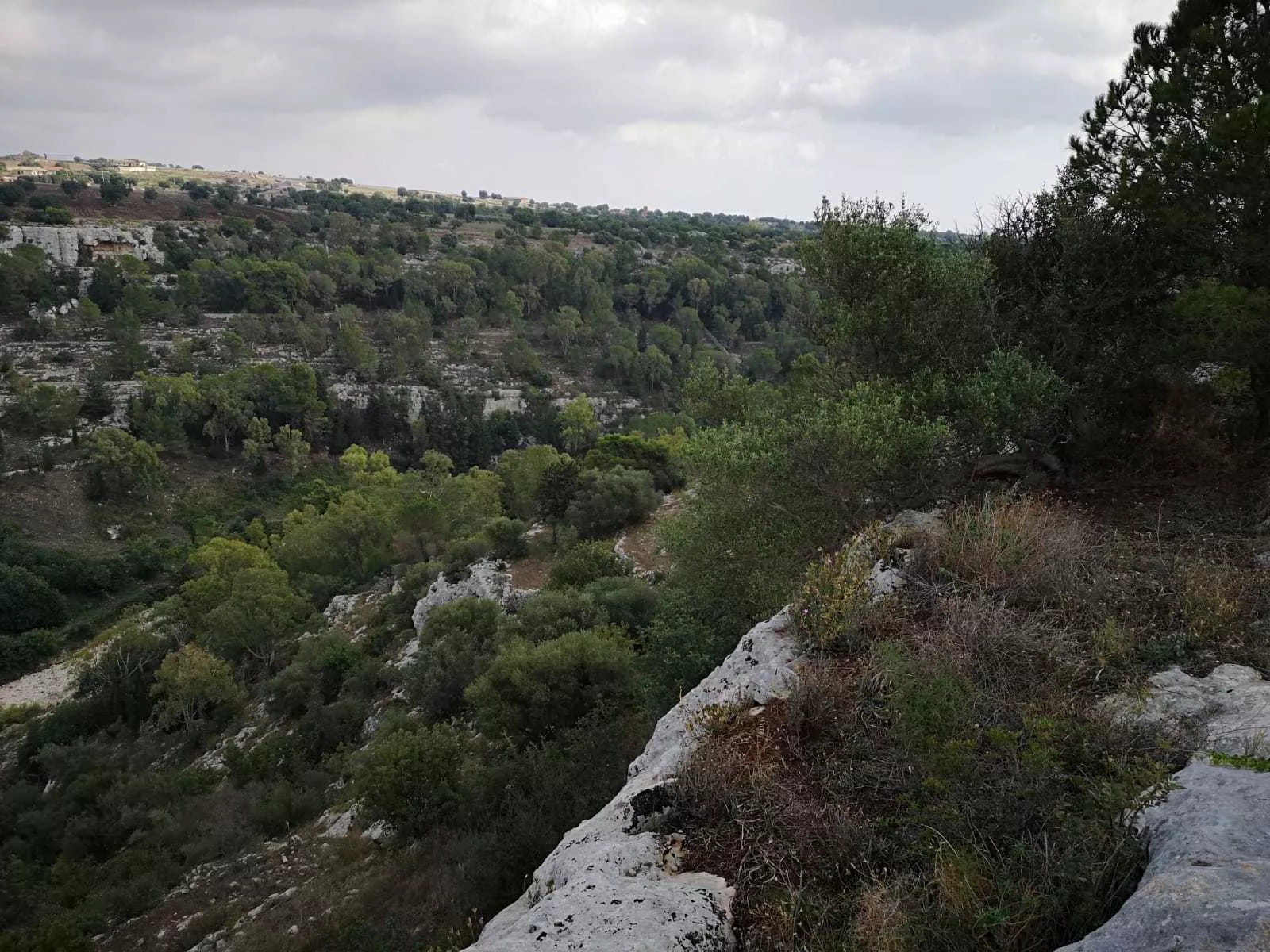 Immagine per Terreno agricolo in vendita a Scicli strada Provinciale 42