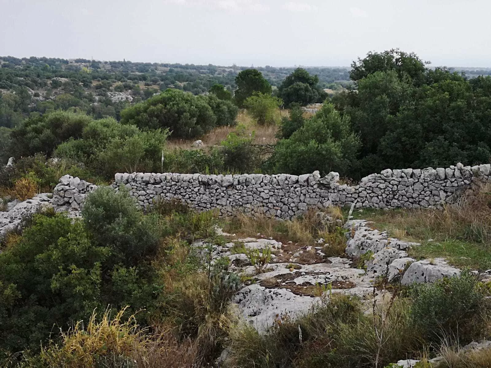 Immagine per Terreno agricolo in vendita a Scicli strada Provinciale 42