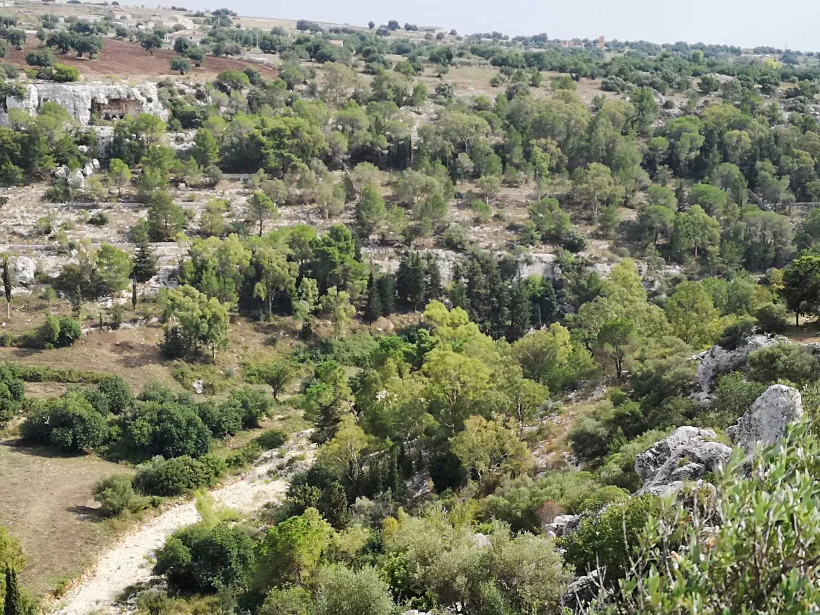 Immagine per Terreno agricolo in vendita a Scicli strada Provinciale 42