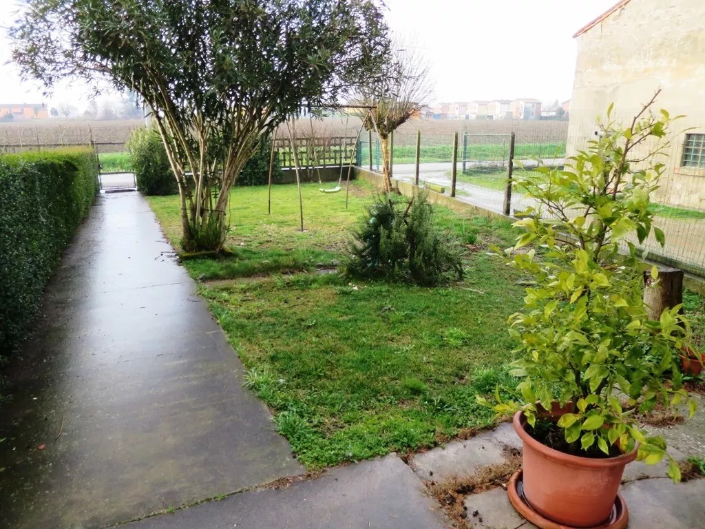 Immagine per Attico in vendita a Fratta Polesine via Ronchi 493