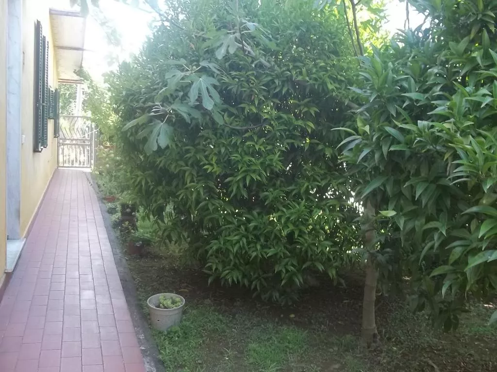Immagine per Casa indipendente in vendita a Massa Via Baracchini