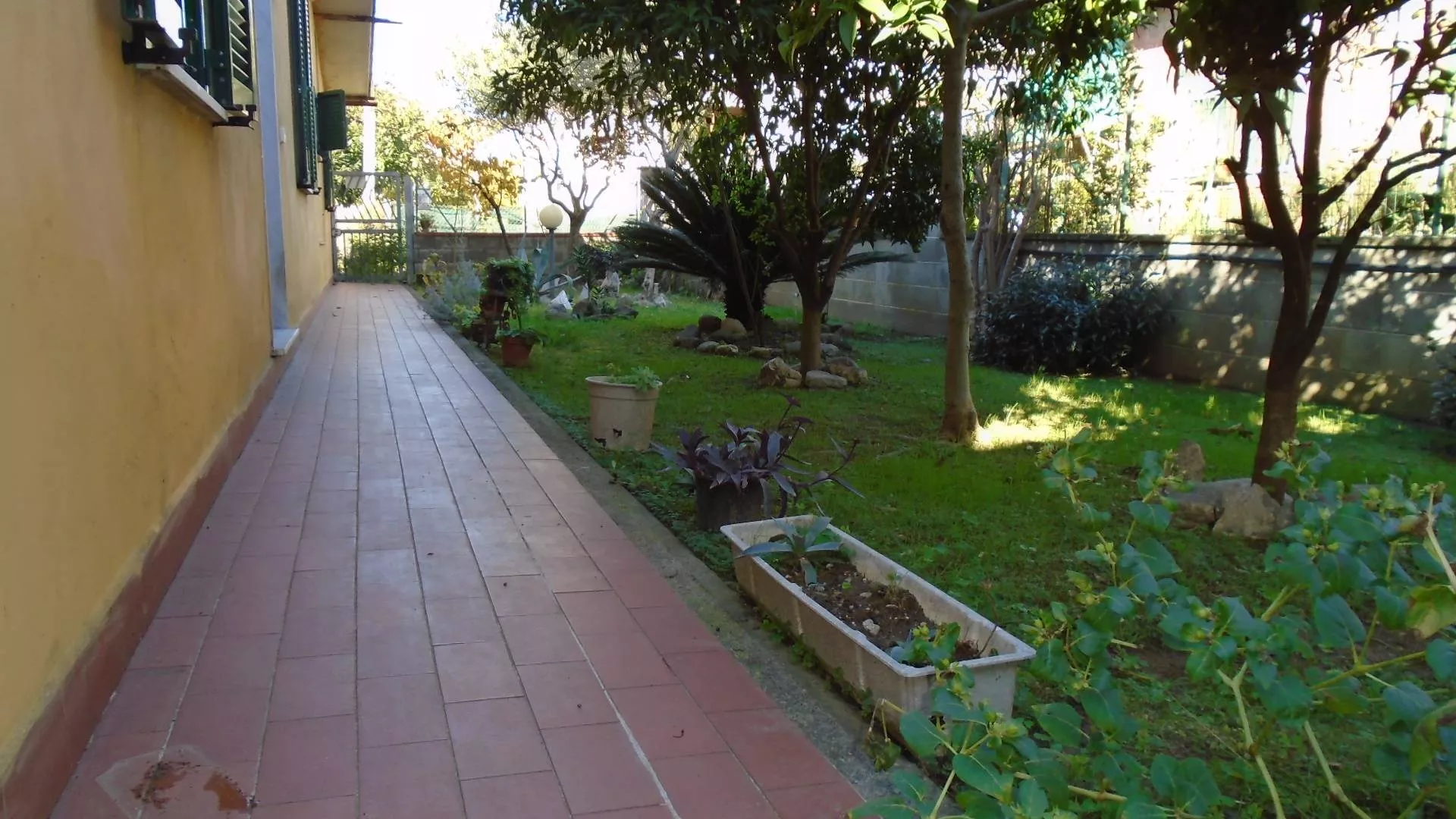 Immagine per Casa indipendente in vendita a Massa Via Baracchini