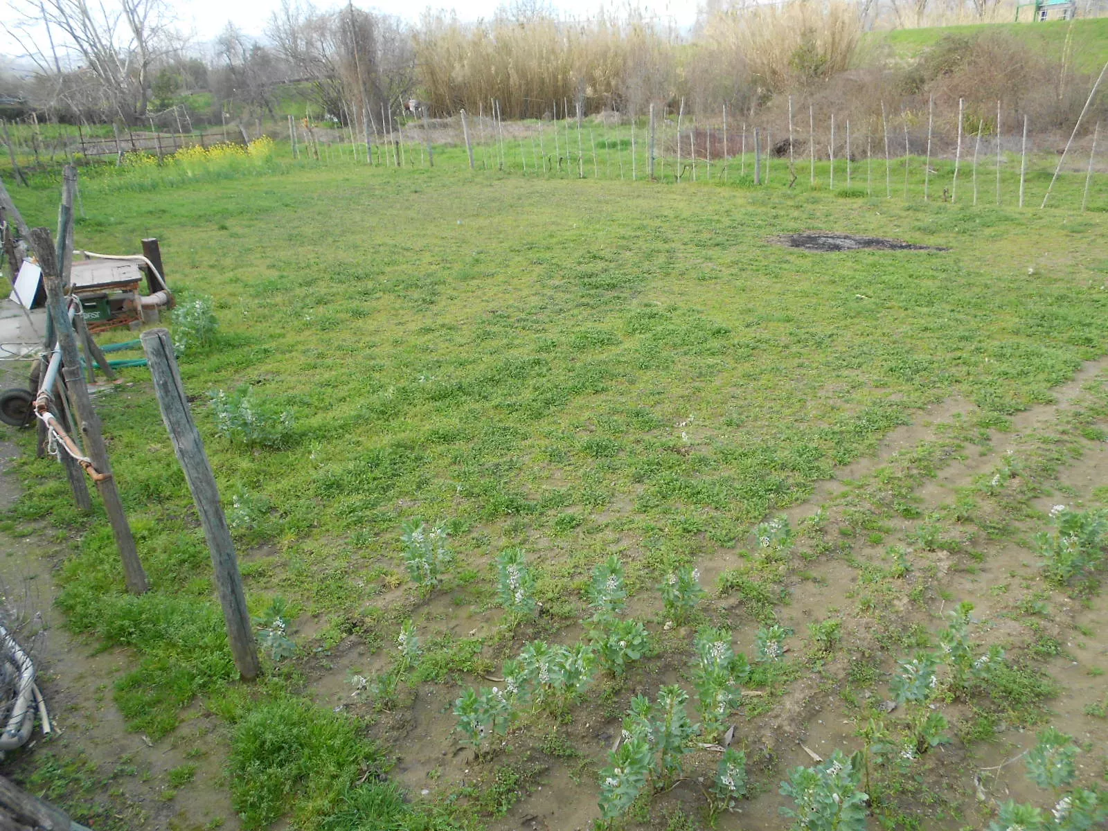 Immagine per Villa bifamiliare in vendita a Arcola via Pentema