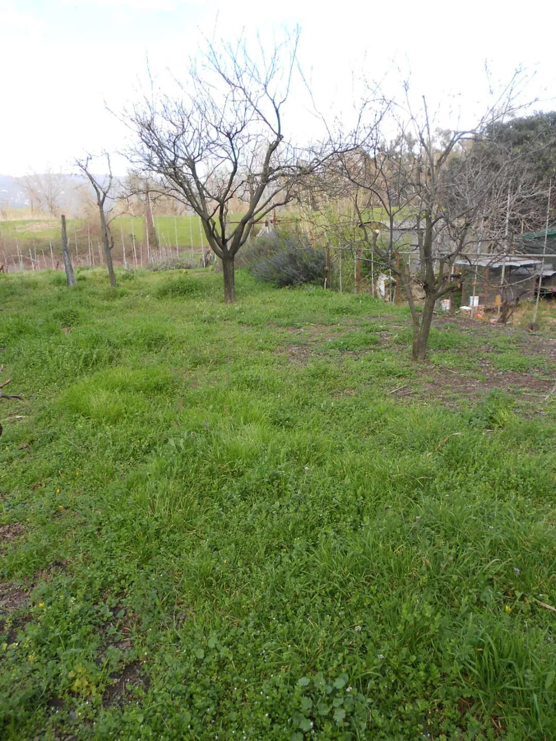 Immagine per Villa bifamiliare in vendita a Arcola via Pentema
