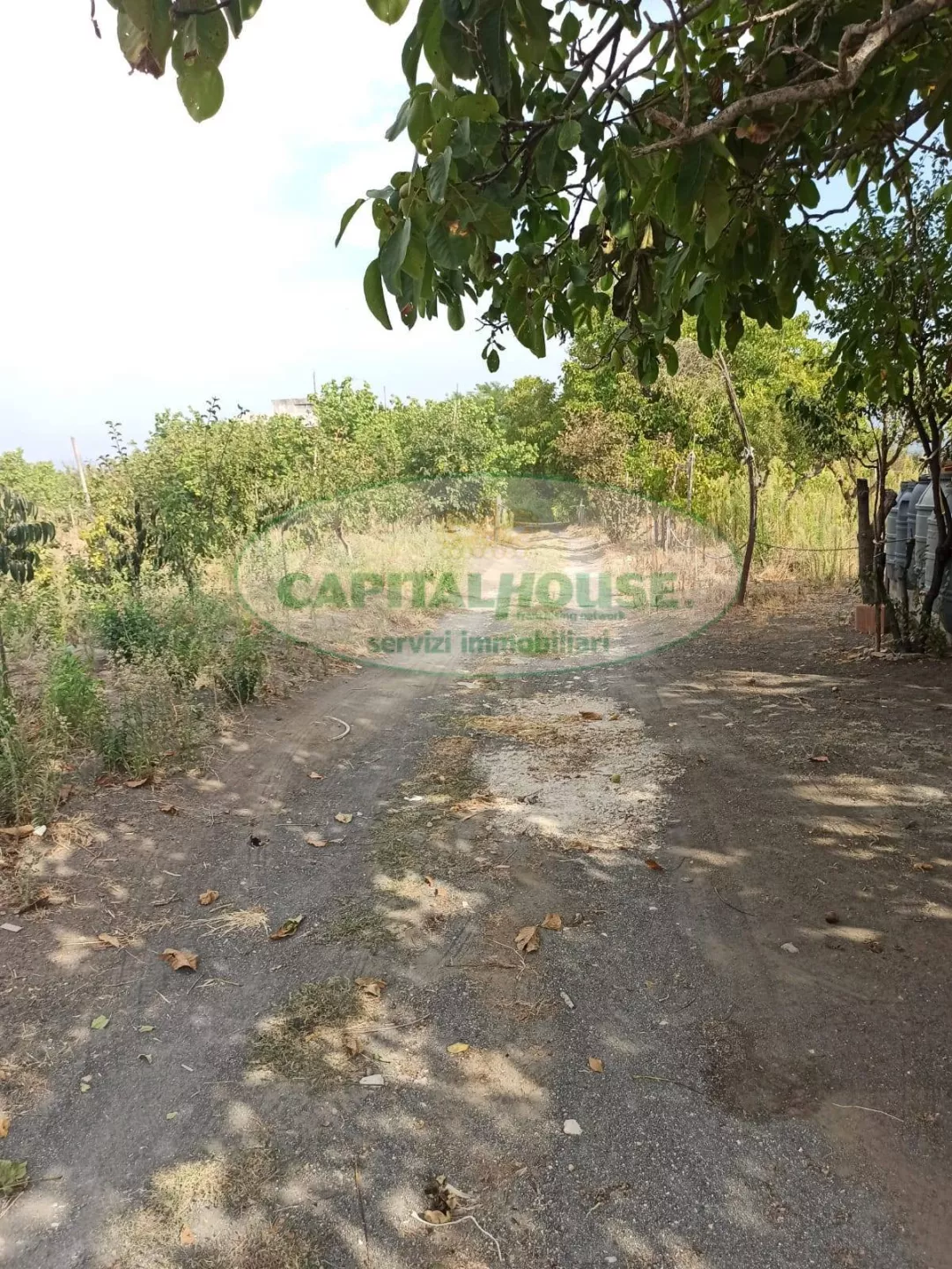 Immagine per Terreno Agricolo in vendita a Somma Vesuviana Località Bosco