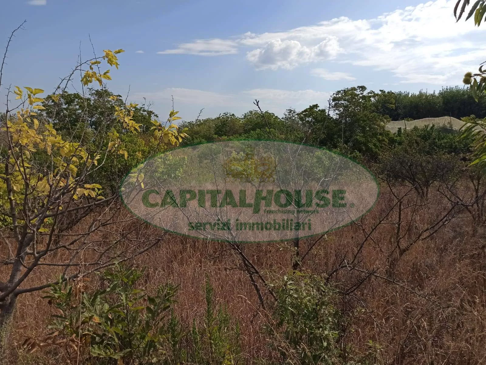 Immagine per Terreno Agricolo in vendita a Somma Vesuviana Località Bosco