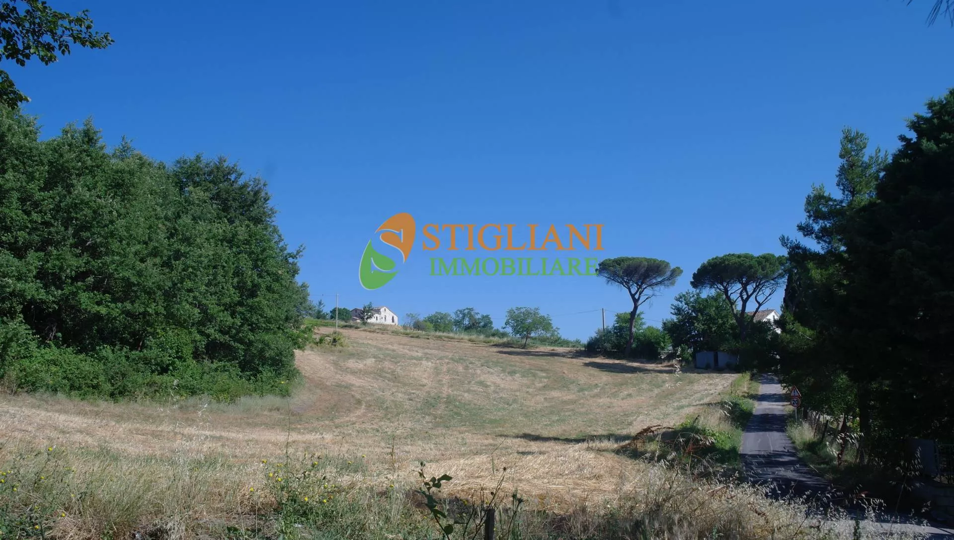 Immagine per Terreno Agricolo in vendita a Ripalimosani zona Quercigliole