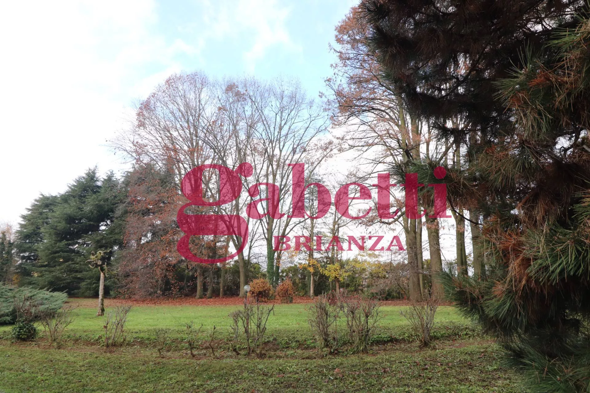 Immagine per Villa in vendita a Correzzana via principale