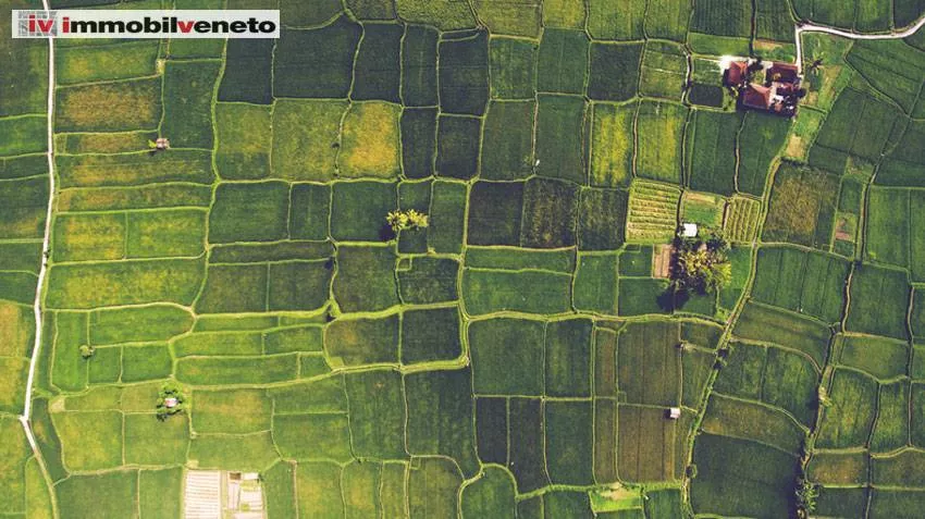 Immagine per Terreno Edificabile in vendita a Sarego VIA ROMA