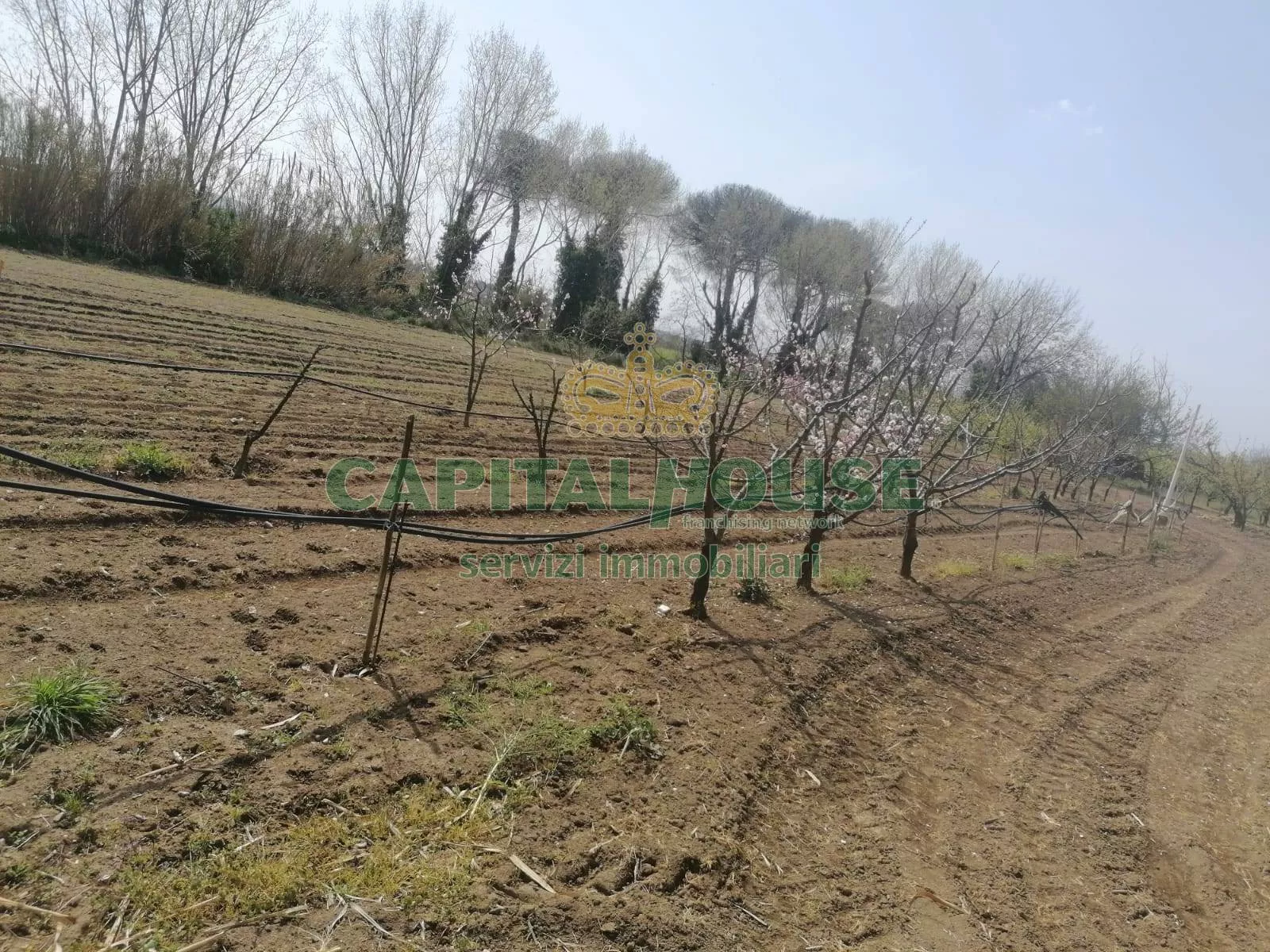 Immagine per Terreno Agricolo in vendita a Qualiano via riparia
