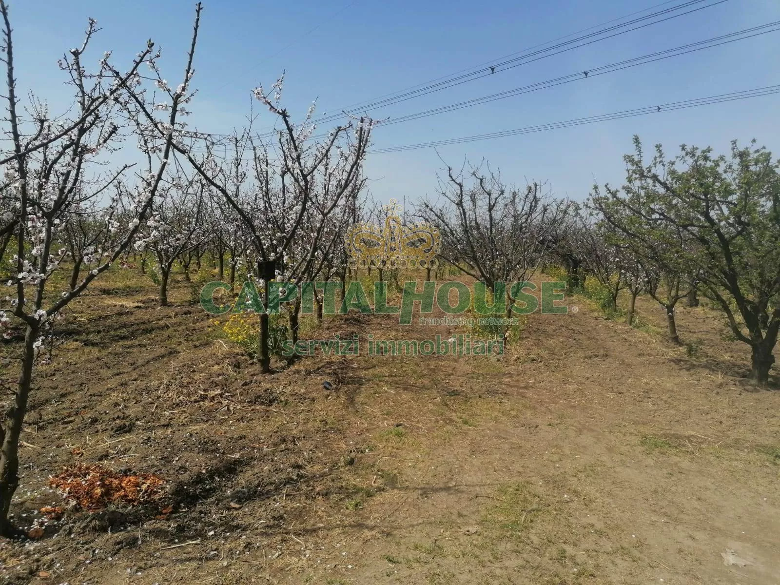 Immagine per Terreno Agricolo in vendita a Qualiano via riparia