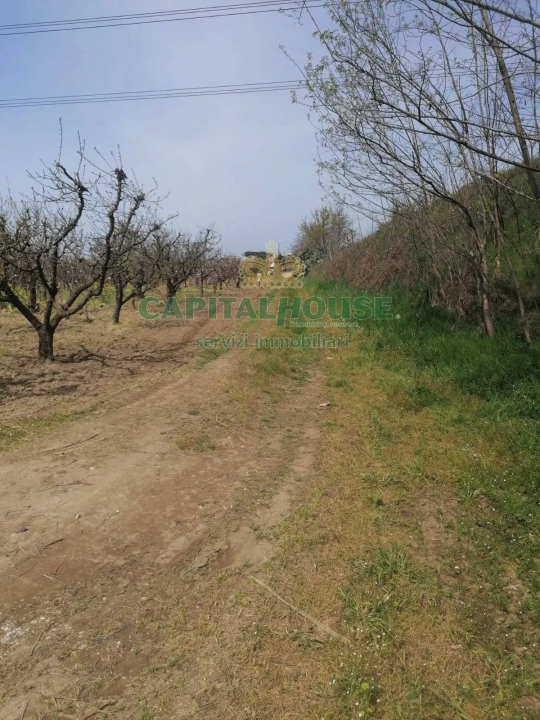 Immagine per Terreno Agricolo in vendita a Qualiano via riparia