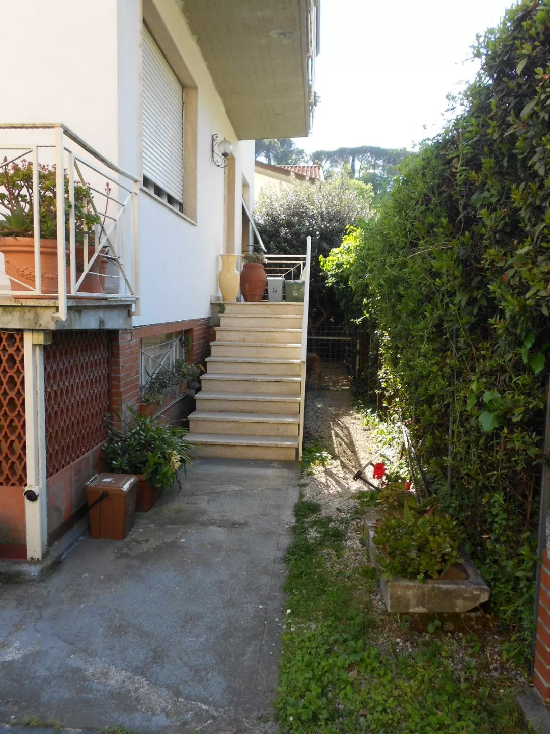 Immagine per Villa in vendita a Massa via Prado