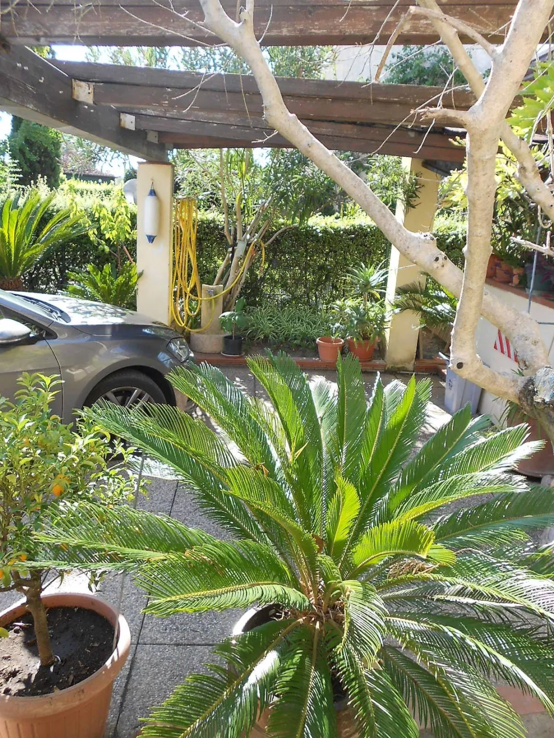 Immagine per Casa Semindipendente in vendita a Massa Via Romana