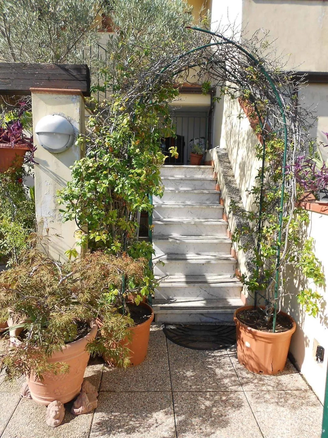 Immagine per Casa Semindipendente in vendita a Massa Via Romana