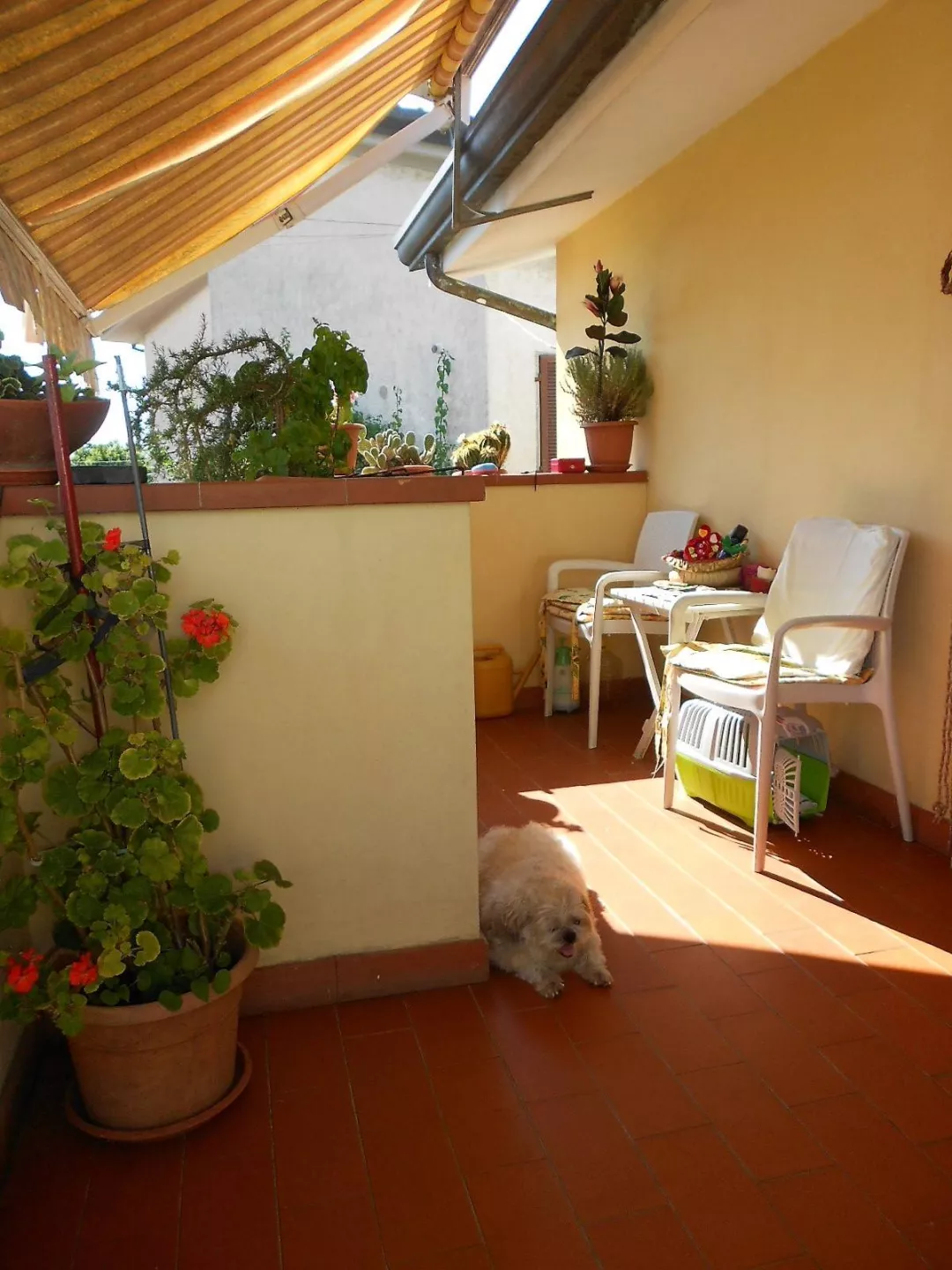 Immagine per Casa Semindipendente in vendita a Massa Via Romana