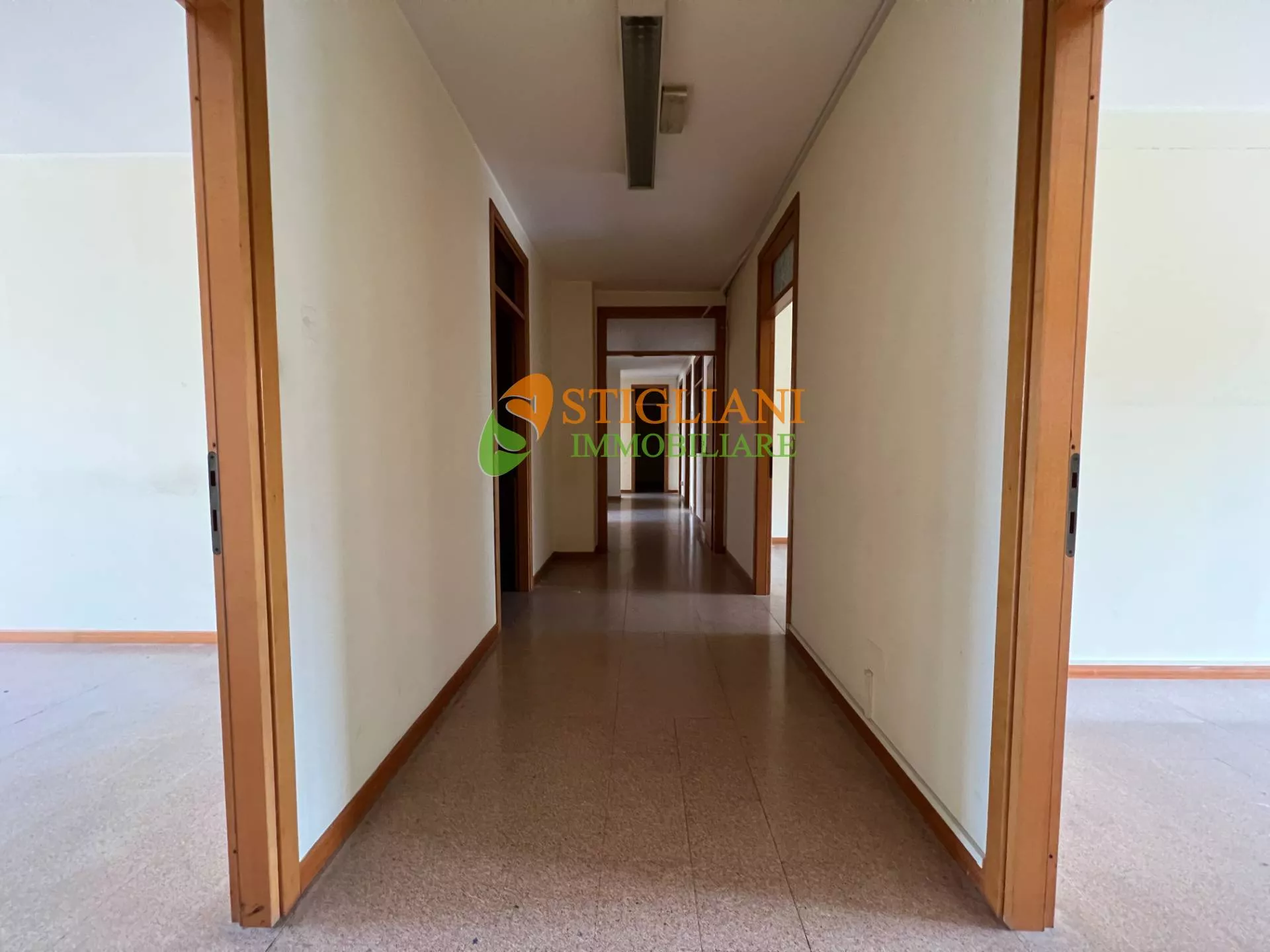 Immagine per Ufficio in vendita a Campobasso Piazza Molise 