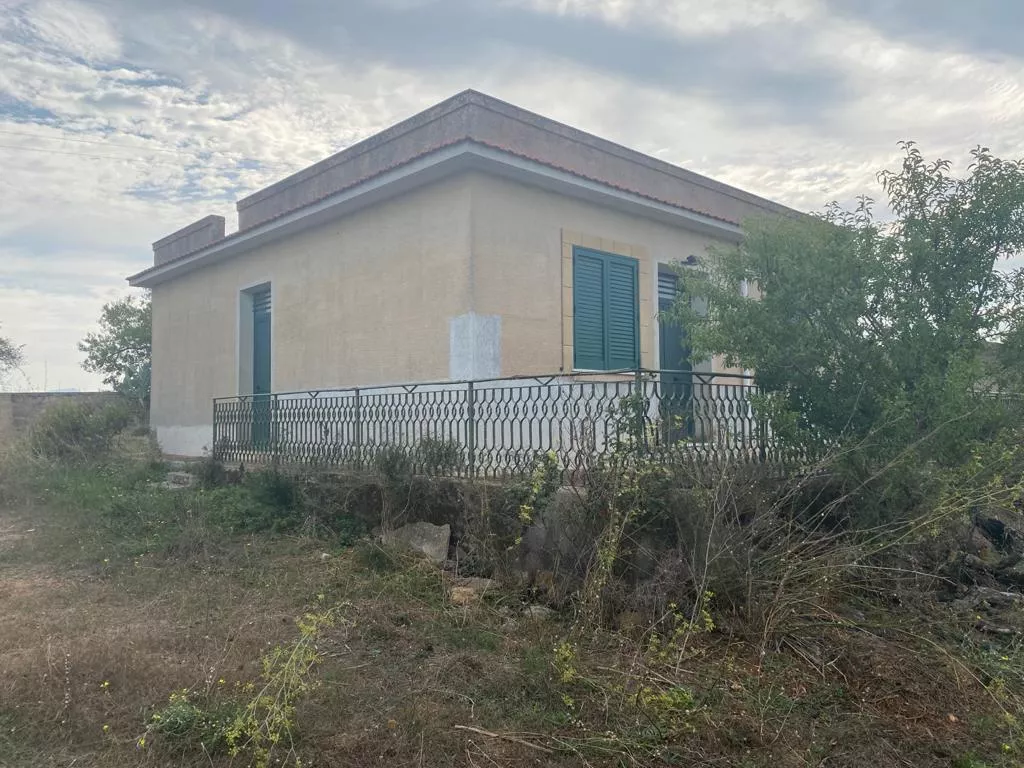 Immagine per Vigneto in vendita a Montevago