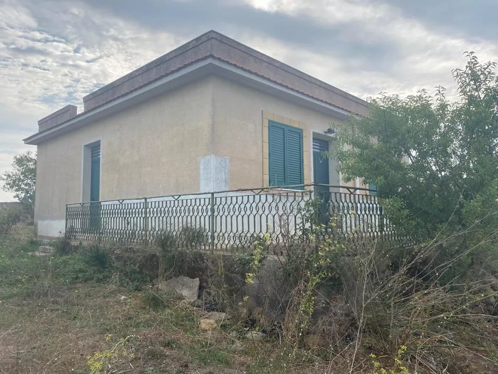Immagine per Vigneto in vendita a Montevago