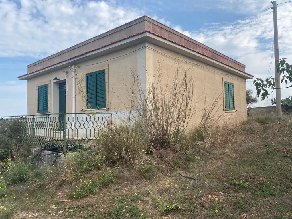 Immagine per Vigneto in vendita a Montevago