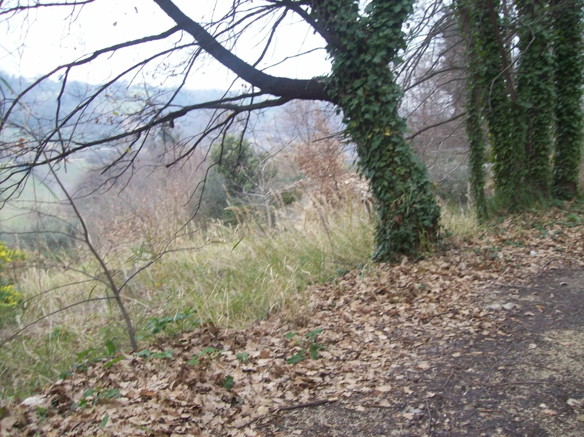 Immagine per Rustico in vendita a Treglio via Contrada Vidizze