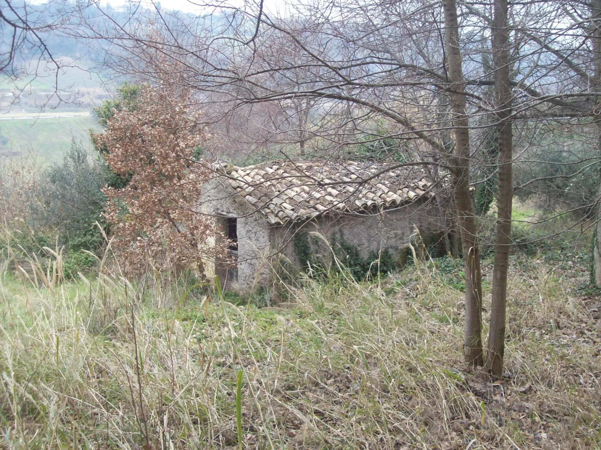 Immagine per Rustico in vendita a Treglio via Contrada Vidizze