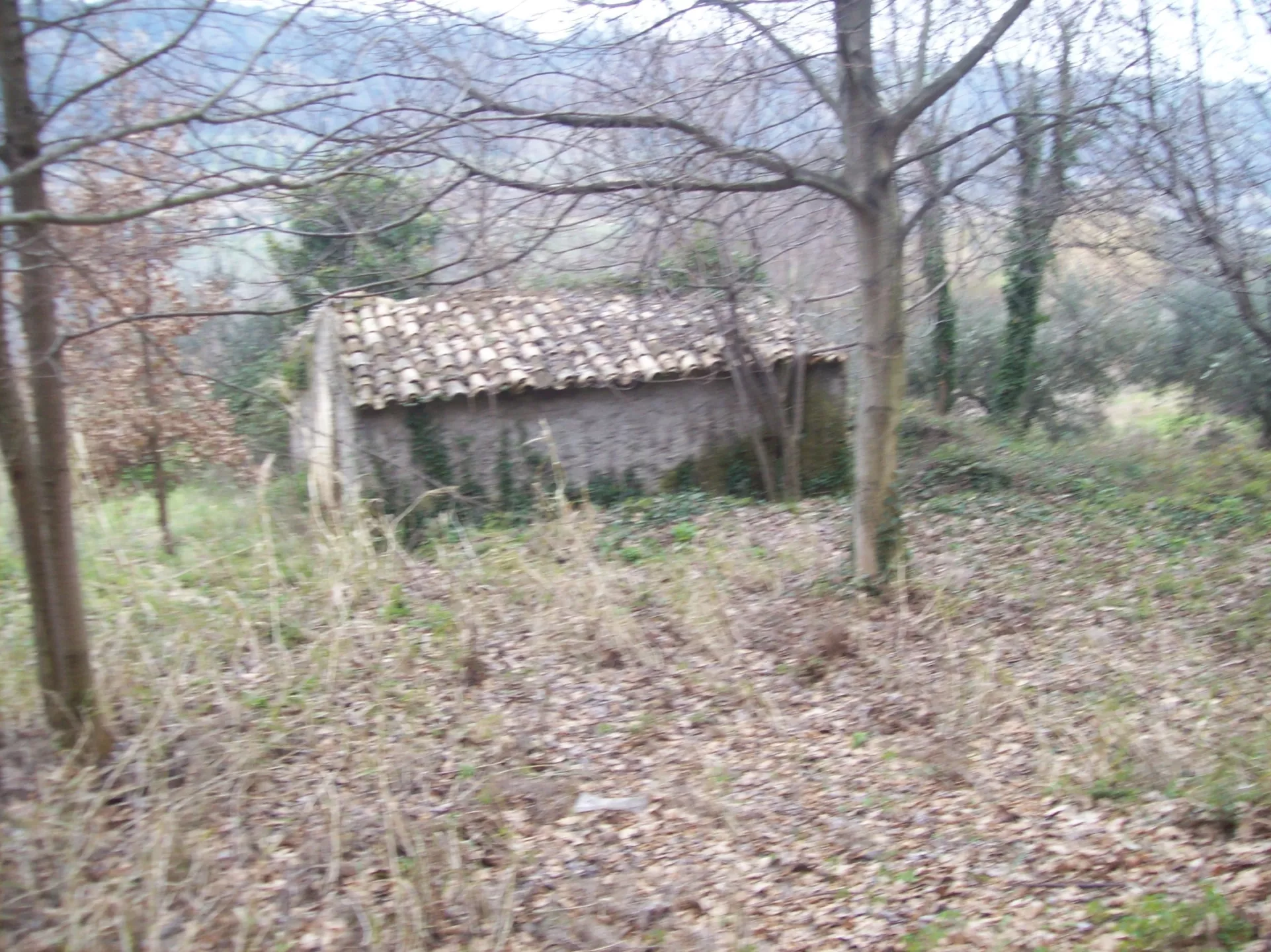 Immagine per Rustico in vendita a Treglio via Contrada Vidizze