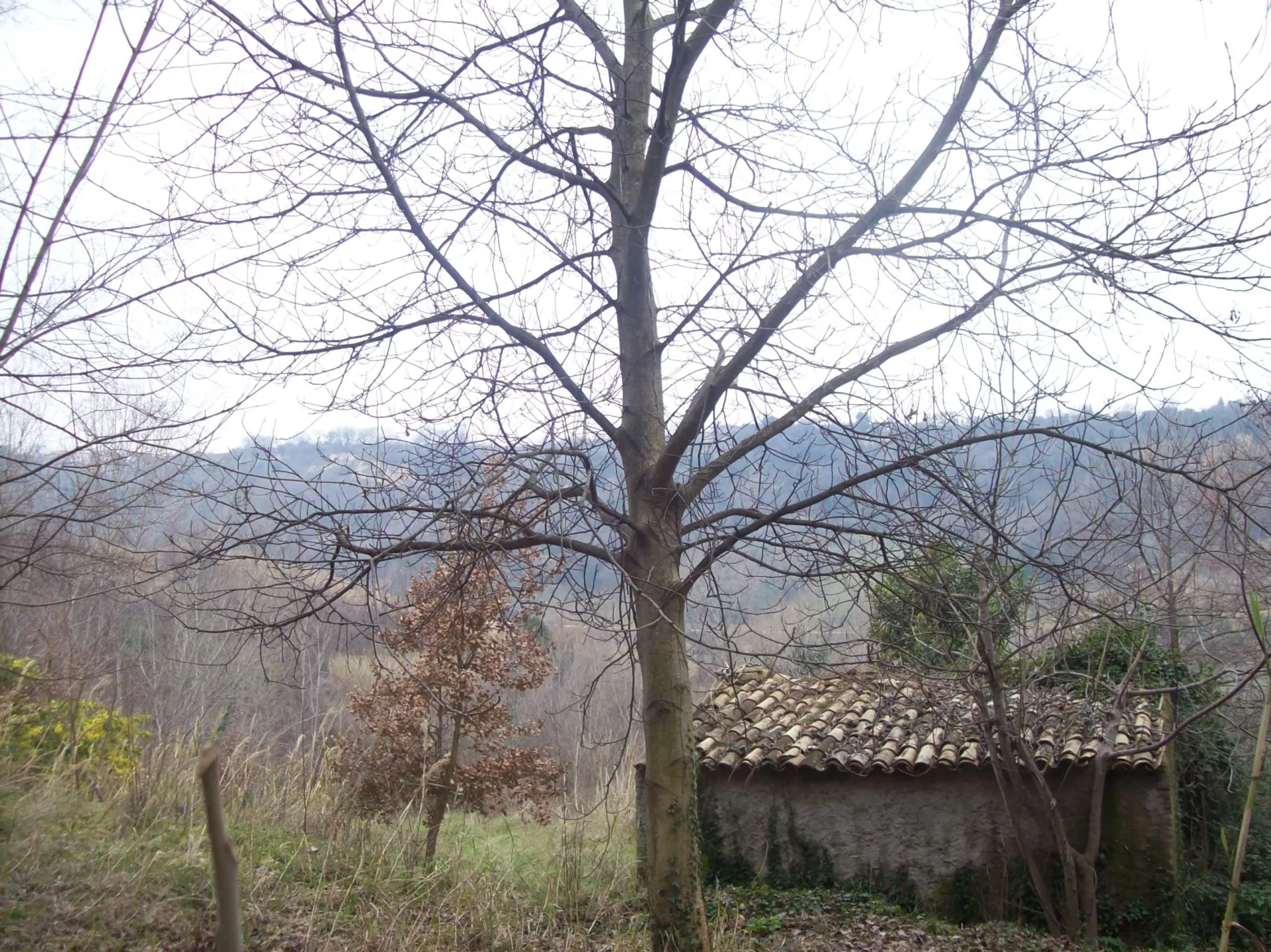 Immagine per Rustico in vendita a Treglio via Contrada Vidizze