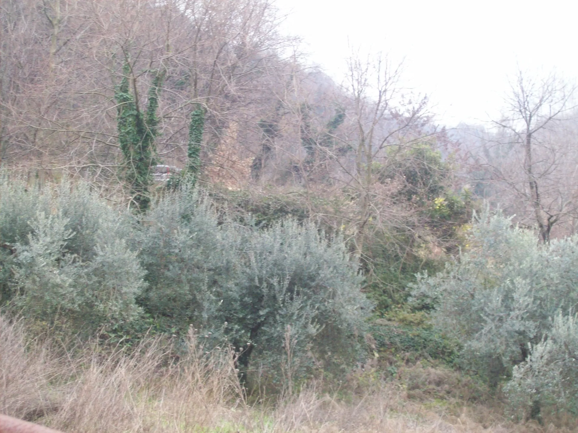 Immagine per Rustico in vendita a Treglio via Contrada Vidizze