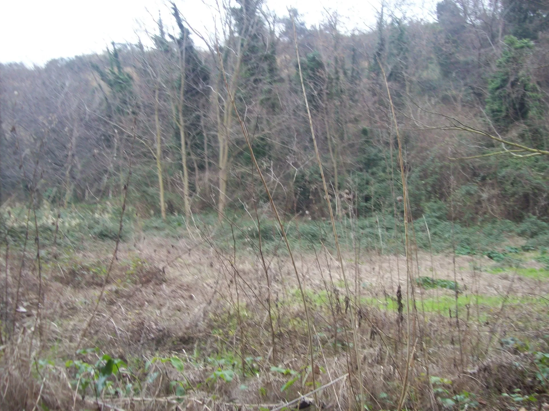 Immagine per Rustico in vendita a Treglio via Contrada Vidizze