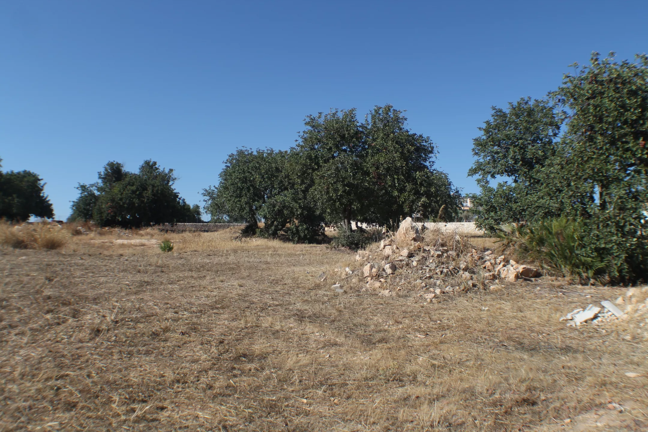 Immagine per Terreno edificabile in vendita a Scicli via Sp 40
