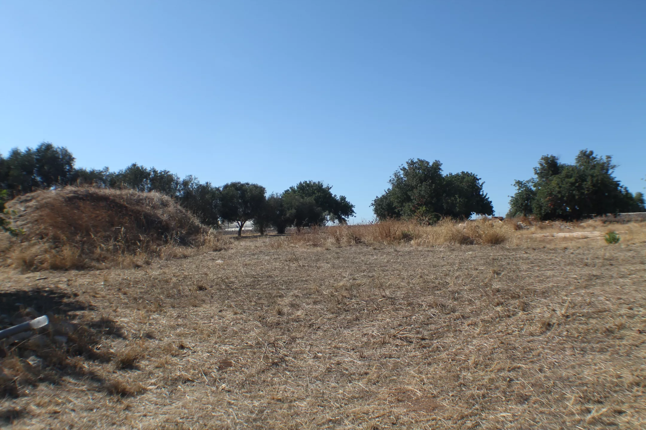 Immagine per Terreno edificabile in vendita a Scicli via Sp 40
