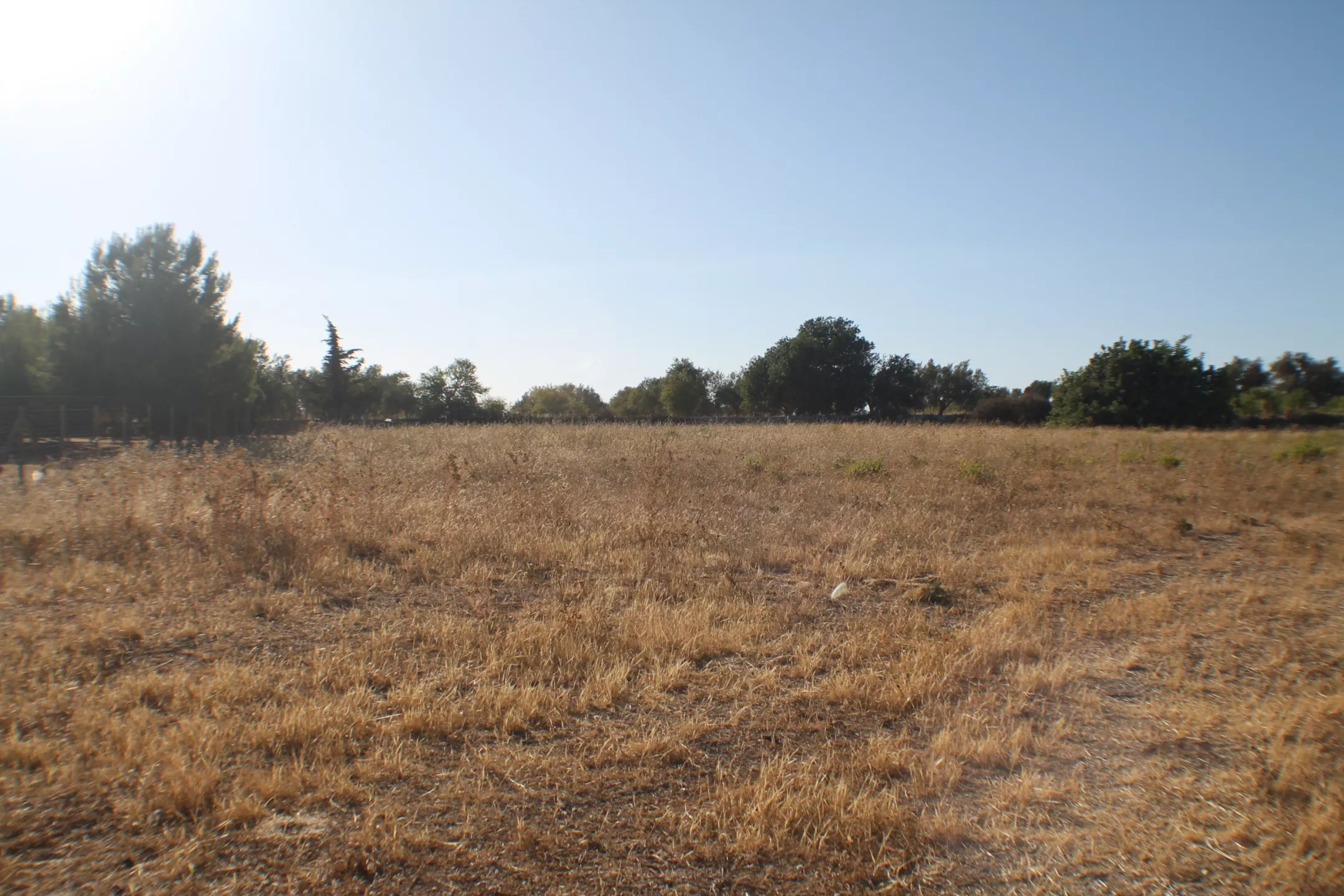 Immagine per Terreno edificabile in vendita a Scicli via Contrada Santa Rosalia