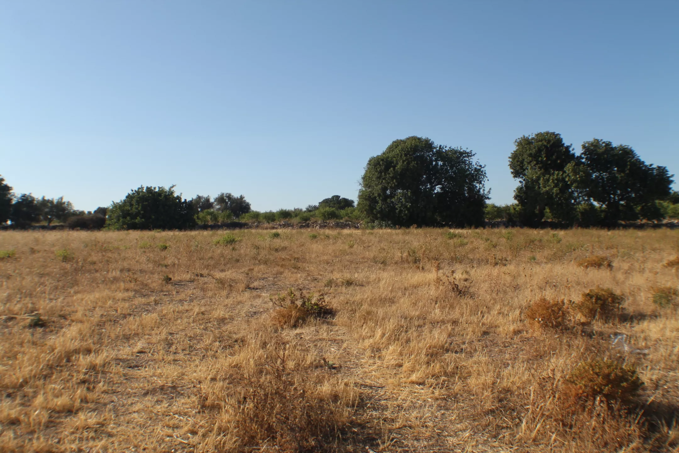Immagine per Terreno edificabile in vendita a Scicli via Contrada Santa Rosalia