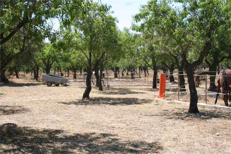 Immagine per Agriturismo in vendita a Noto