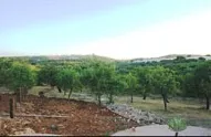 Agriturismo Noto
