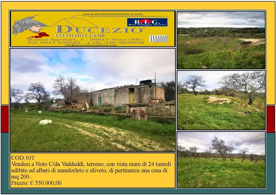 Immagine per Studio in vendita a Noto